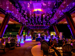 SWFF 2025: Sun Patio Ice Bar Experience