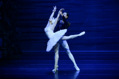 Swan Lake: Event by The State Ballet Theatre of Ukraine at Mobile, AL!