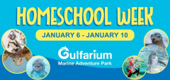 Homeschool Week at the Gulfarium