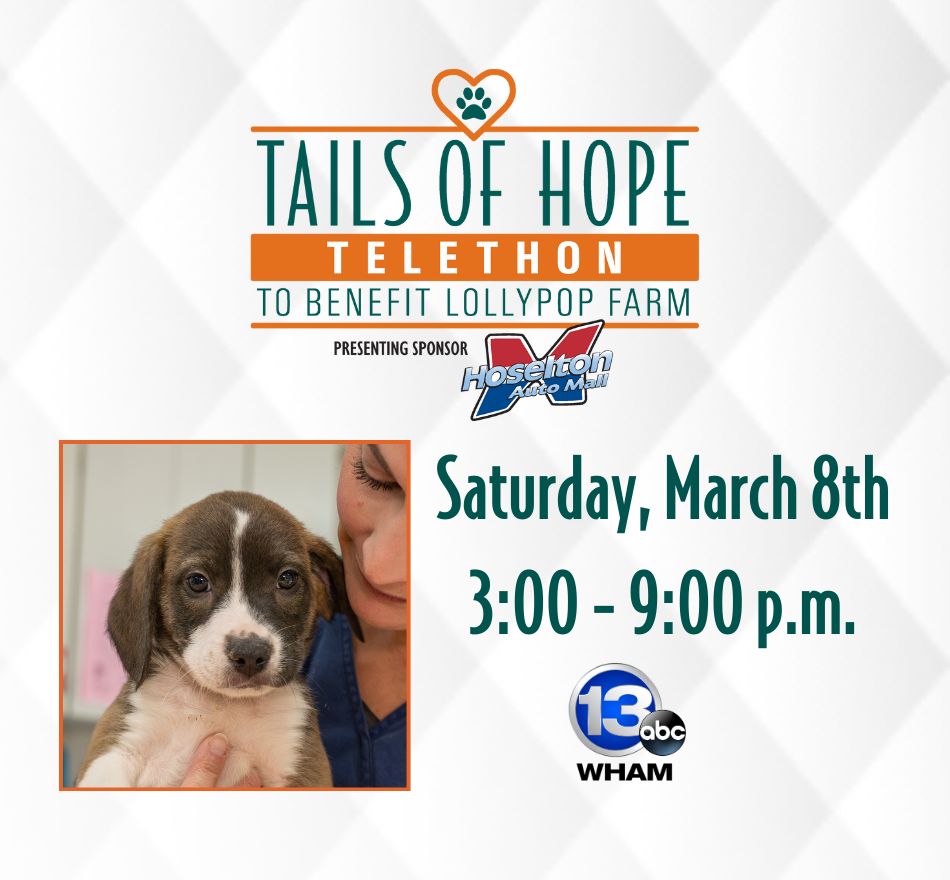 The Tails of Hope Telethon, Rochester, New York, United States
