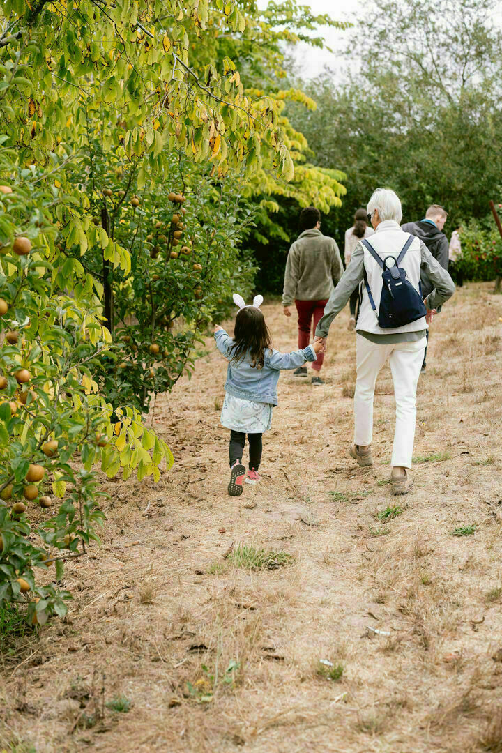 Farm Shop and Tasting Room | Open Hours, Sebastopol, California, United States