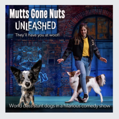 Mutts Gone Nuts at Chester Fritz Auditorium
