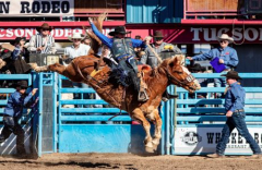 Tucson Rodeo
