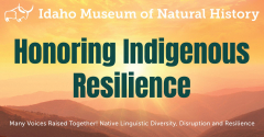 Honoring Indigenous Resilience