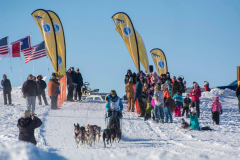 Pedigree Stage Stop Sled Dog Race