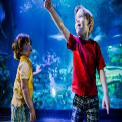 Toddler Time - Toddler and Preschool Event at SEA LIFE Michigan Aquarium