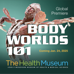 Body Worlds 101: The Core of Life Exhibit at The Health Museum