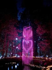 Love Lights at Capilano Suspension Bridge Park