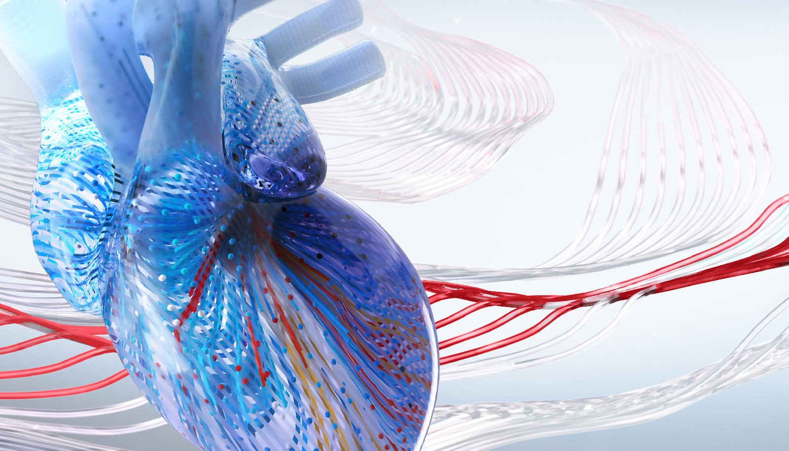 Interventional Cardiology Review Course for Boards and Recertification, Chicago, Illinois, United States