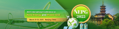 2025 International Conference on New Energy and Power Grid
