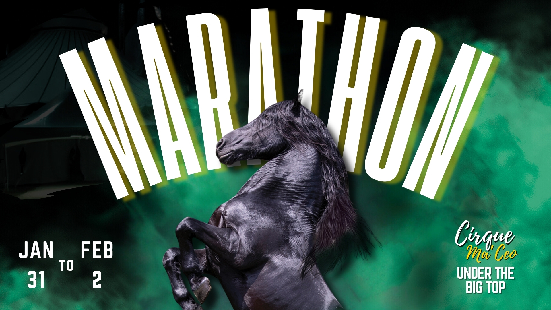 Cirque Ma'Ceo - Returns to Marthon, Marathon, Florida, United States