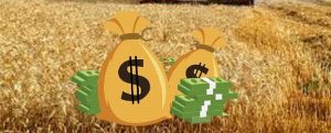 Training Course on Agricultural Value Chain Finance, Kigali, Rwanda