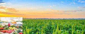 Training Course on Agricultural Market Systems Development, Kigali, Rwanda