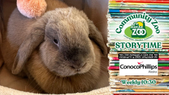 Weekly Free Zoo Storytime sponsored by ConocoPhillips Alaska