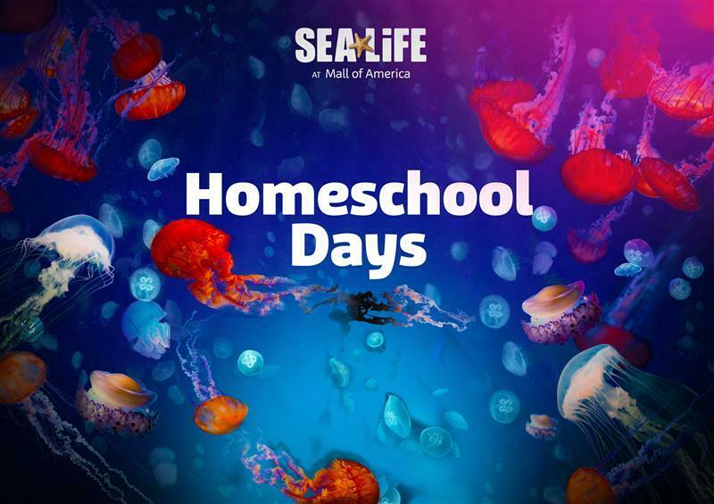 Homeschool Days Swims Back to SEA LIFE at Mall of America!, Bloomington, Minnesota, United States