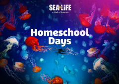Homeschool Days Swims Back to SEA LIFE at Mall of America!