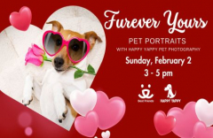 Furever Yours: Pet Portraits Benefitting Best Friends Animal Society