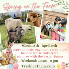 Spring On the Farm