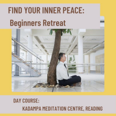 JOIN OUR HALF DAY BEGINNERS MEDITATION RETREAT: Find Your Inner Peace