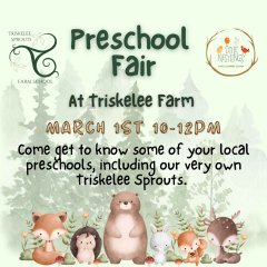 Triskelee Farm Preschool Fair
