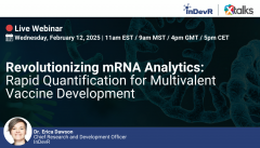 Revolutionizing mRNA Analytics: Rapid Quantification for Multivalent Vaccine Development