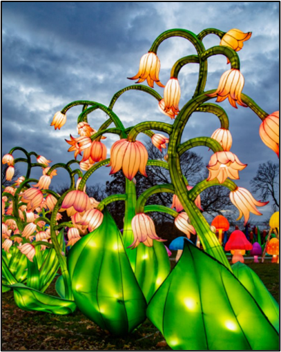 SeaLight Festival, Walton, Florida, United States