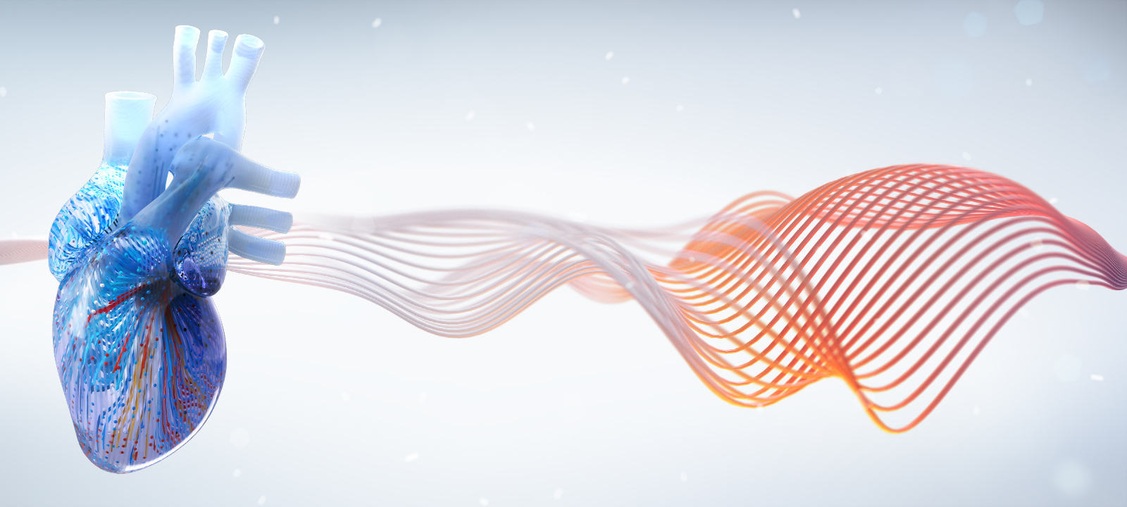 Mayo Clinic Echocardiography Comprehensive Review Course for Boards & Clinical Practice, Rochester, Minnesota, United States