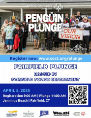 Fairfield Penguin Plunge