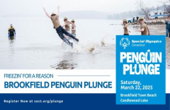 Brookfield Penguin Plunge