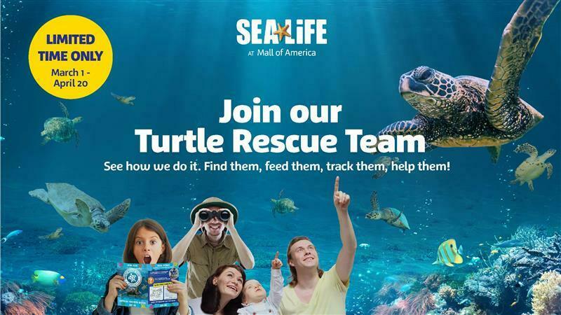 Join our Turtle Rescue Team at SEA LIFE at Mall of America!, Bloomington, Minnesota, United States