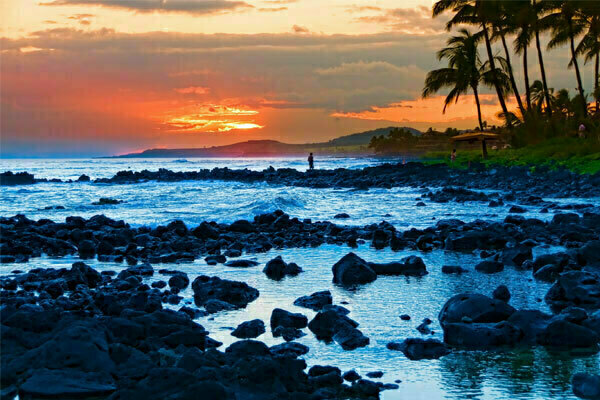 Arrhythmias and the Heart: A Cardiovascular Update, Wailea, Hawaii, United States