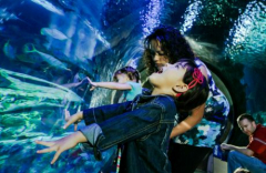 Spring Break at SEA LIFE Michigan Aquarium