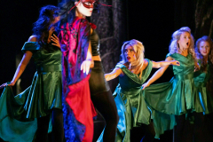 A Taste of Ireland - The Irish Music and Dance Sensation