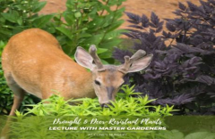 DROUGHT AND DEER-RESISTANT PLANT LECTURE