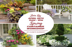 SPRING CONTAINER WORKSHOP