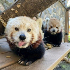 Spring Kick Off @ Brandywine Zoo