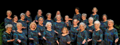 Magic of Manatee Sweet Adeline Show: Through the Years!