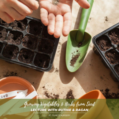 GROWING VEGETABLES and HERBS FROM SEED