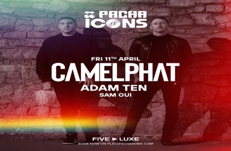 Pacha Icons with CamelPhat, Dubai, United Arab Emirates