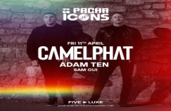 Pacha Icons with CamelPhat