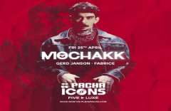 Pacha Icons with Mochakk
