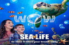 Spring Break at SEA LIFE Grapevine