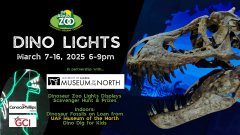 Dino Lights at the Alaska Zoo