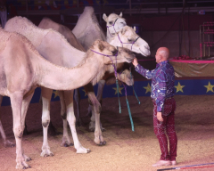 Loomis Bros. Circus 2025 Tour - Bay Minette, AL - March 17 and 18 - Carol Hodgson Arena