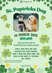 St. Puptrick's Day at Dogtopia of Boise-Greenbelt