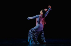 Tablao Flamenco - Melissa Cruz Flamenco (USA)