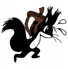 Black Squirrel Scurry Paddling Triathlon