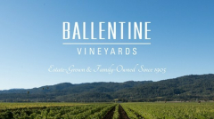 Ballentine Vineyards 120th Anniversary Party, May 4, 2025