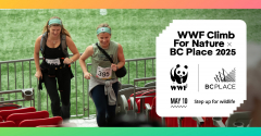 WWF's BC Place Climb for Nature