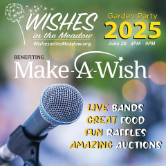 Wishes in the Meadow 2025